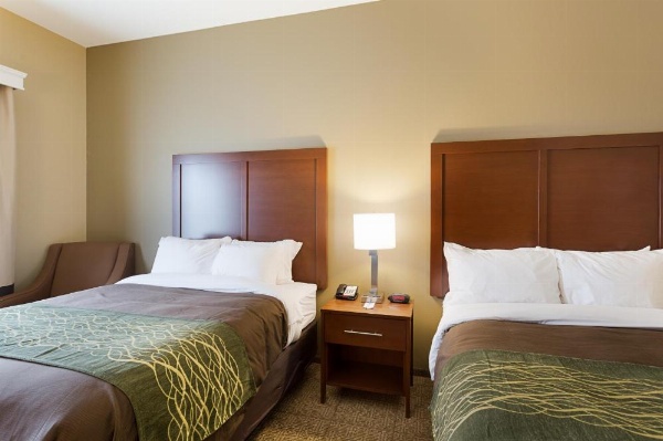 Comfort Inn & Suites Zachary image 11