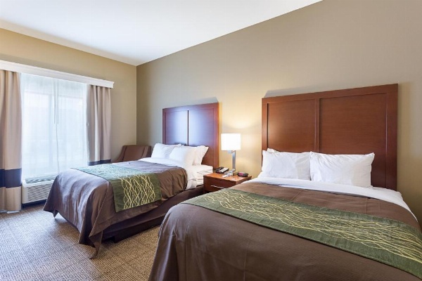 Comfort Inn & Suites Zachary image 12