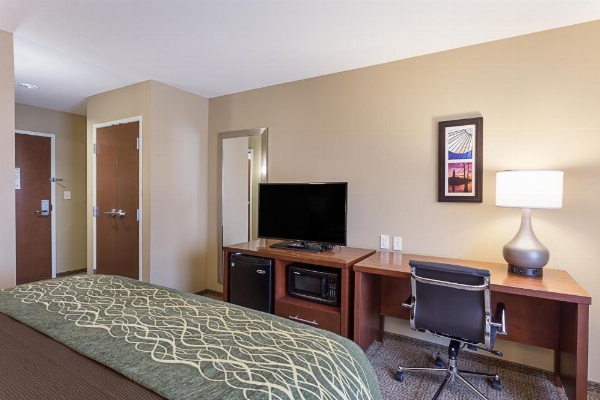 Comfort Inn & Suites Zachary image 14