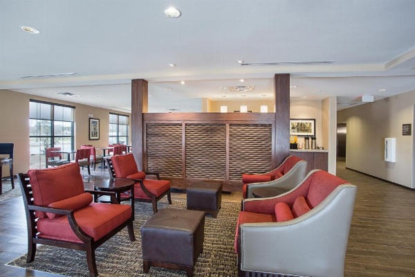 Comfort Inn & Suites Zachary image 16