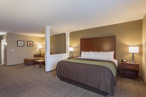 Comfort Inn & Suites Zachary image 3