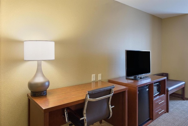 Comfort Inn & Suites Zachary image 6