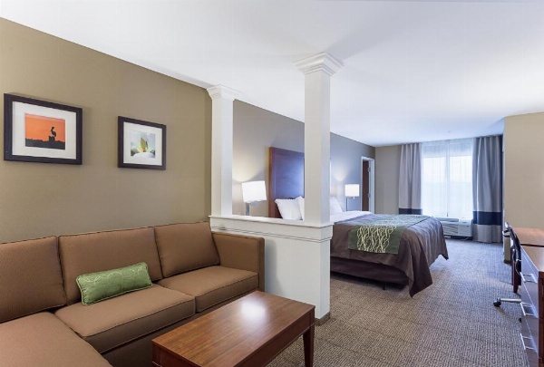 Comfort Inn & Suites Zachary image 8