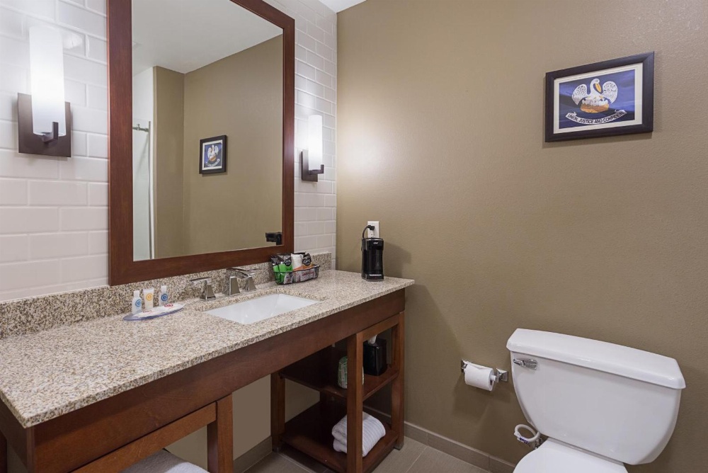 Comfort Inn & Suites Zachary